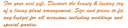 Our Growing Concern, Free Delivery. Roseville, Rocklin, Sacramento CA florist and plant arrangements.